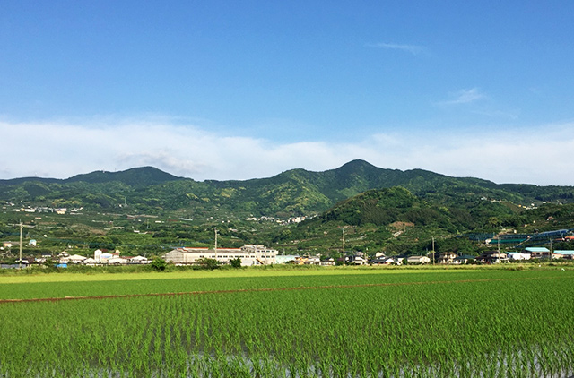 天水町